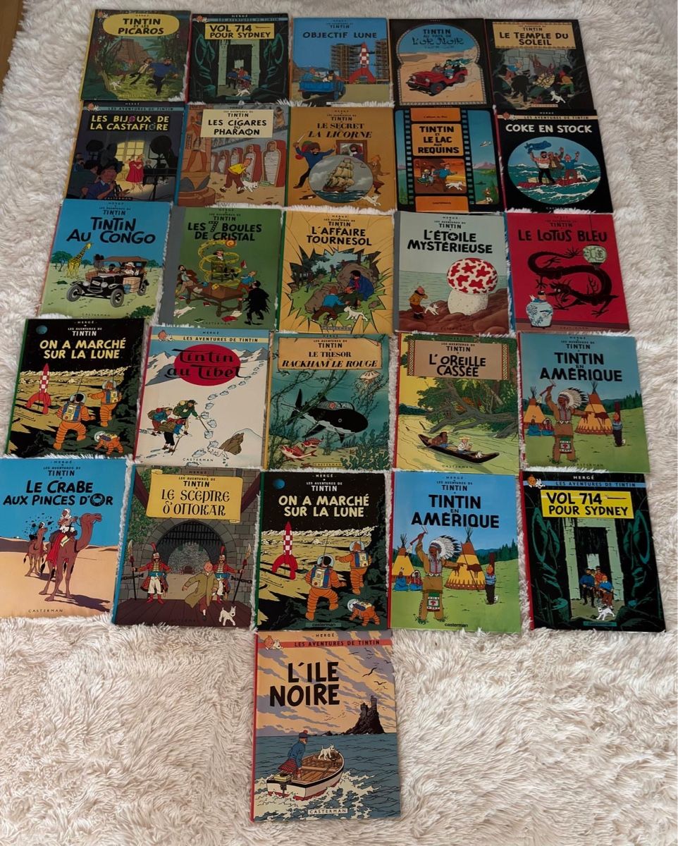 Fumetti: Collection d’albums Tintin – Usato da Le Grand-Saconnex venduto da vin_t2ql
