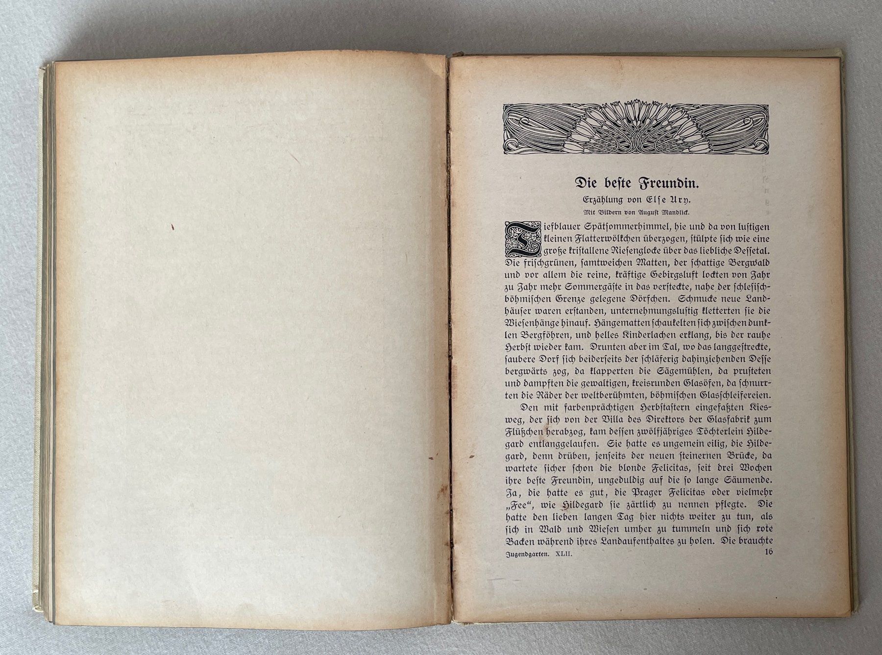 Libri: Antikes Jugendbuch "Der Jugendgarten" – Usato da Adliswil venduto da Duenenwanderer 9