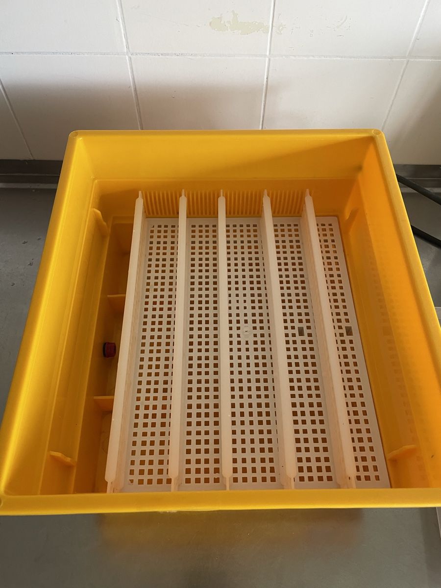 Altro in Accessori per animali: Brutmaschine Covatutto 24 Ec – Usato da Rumlikon venduto da SR_Records 1