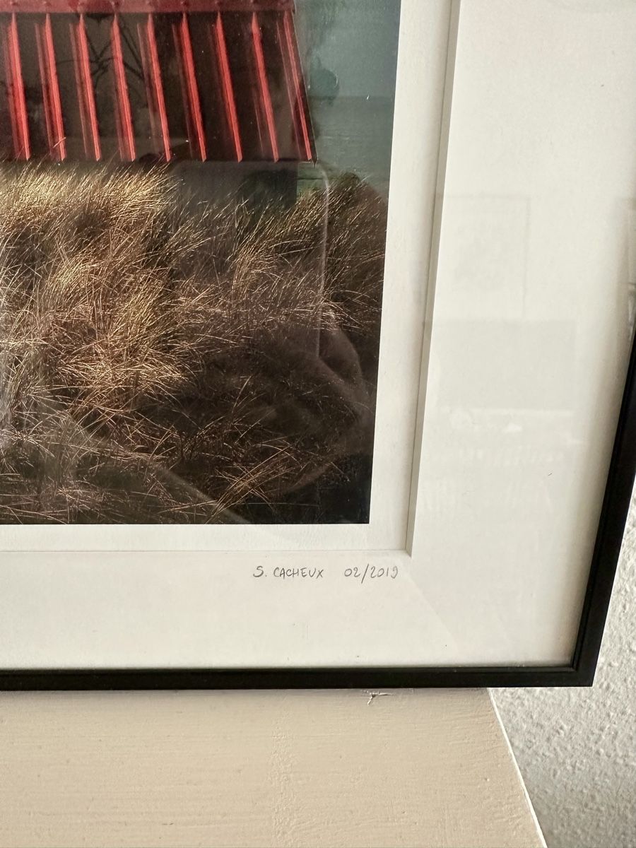 Foto & Immagini: Photo S. Cacheux 02/2019 1/30 Bretagne – Nuovo (secondo la descrizione) da Vernier venduto da citronelle01 1