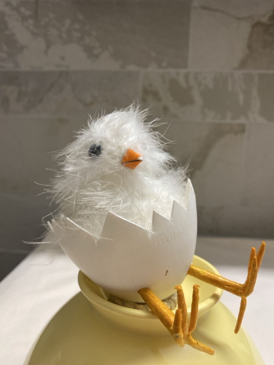 Tutte le decorazioni: Cute Easter Decoration 6x – Nuovo e nell'imballaggio originale da Buttikon SZ venduto da Maxwelltime 1