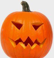 10 Samen Halloween - Kürbis + Anweisungen zum Keimen und
