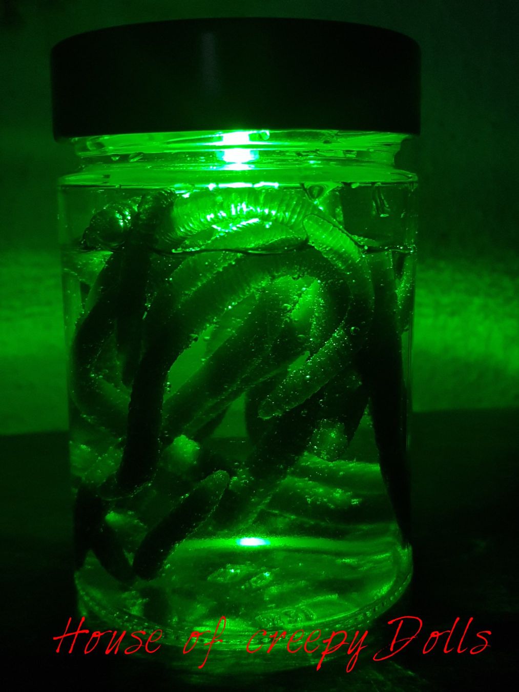 Bicchieri: HORROR / HALLOWEEN GLAS MIT WÜRMER – Nuovo e nell'imballaggio originale da Root venduto da LifestyleAccessoires 3