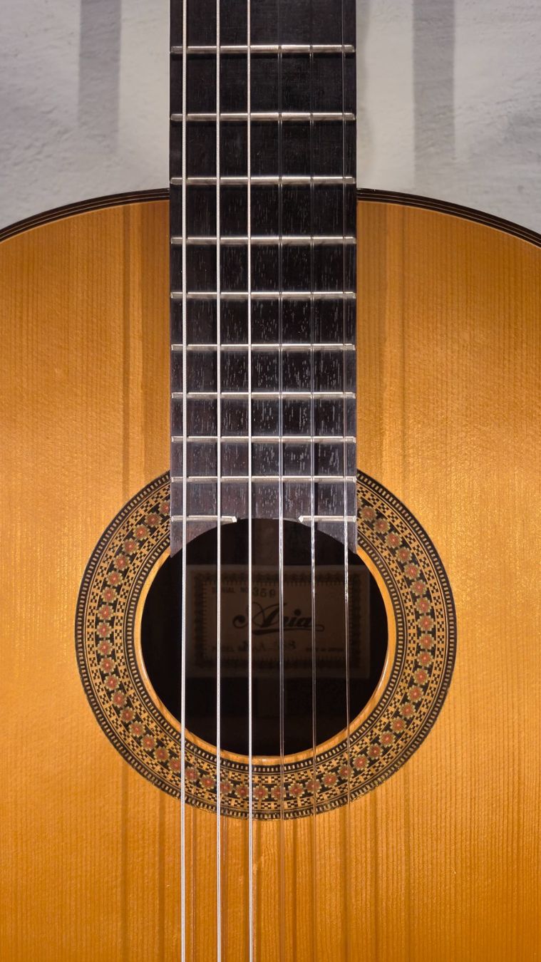 Aria Musikinstrumente: Akustik Gitarre Aria A-588 – Gebraucht aus Winterthur von NorrSydGuitars 5