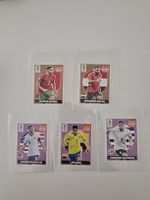 Panini World Cup 2026 Extra Stickers Lot