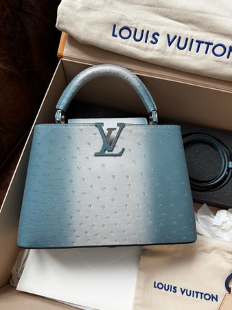 Louis Vuitton Capucines BB Ostrich Handbag Blue Excellent