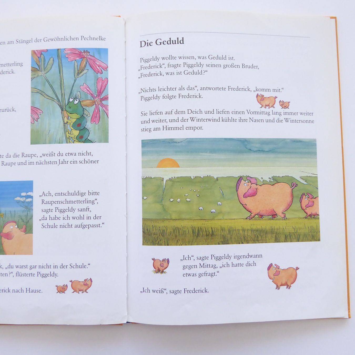 Libri: Neue Abenteuer mit Piggeldy und Frederick – Usato da Basel venduto da Kunterbunt12 5