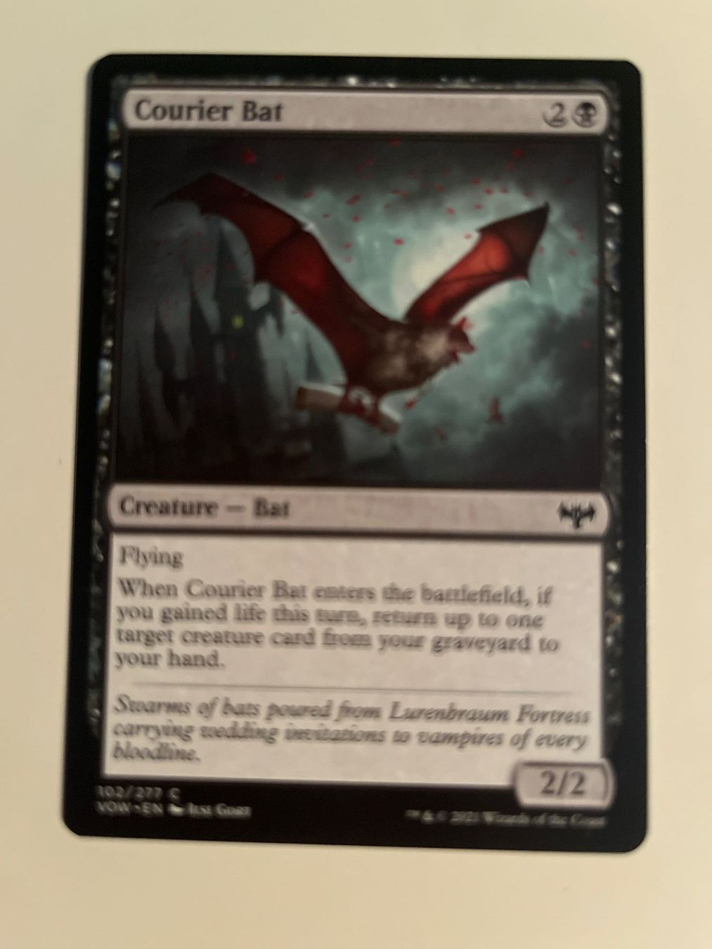 Magic The Gathering Carte collezionabili: 1 x Courier Bat - Magic: The Gathering - MtG – Usato da Kriens venduto da Shadi1980