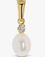 Anhänger Gelbgold 14 Karat mit kette s925