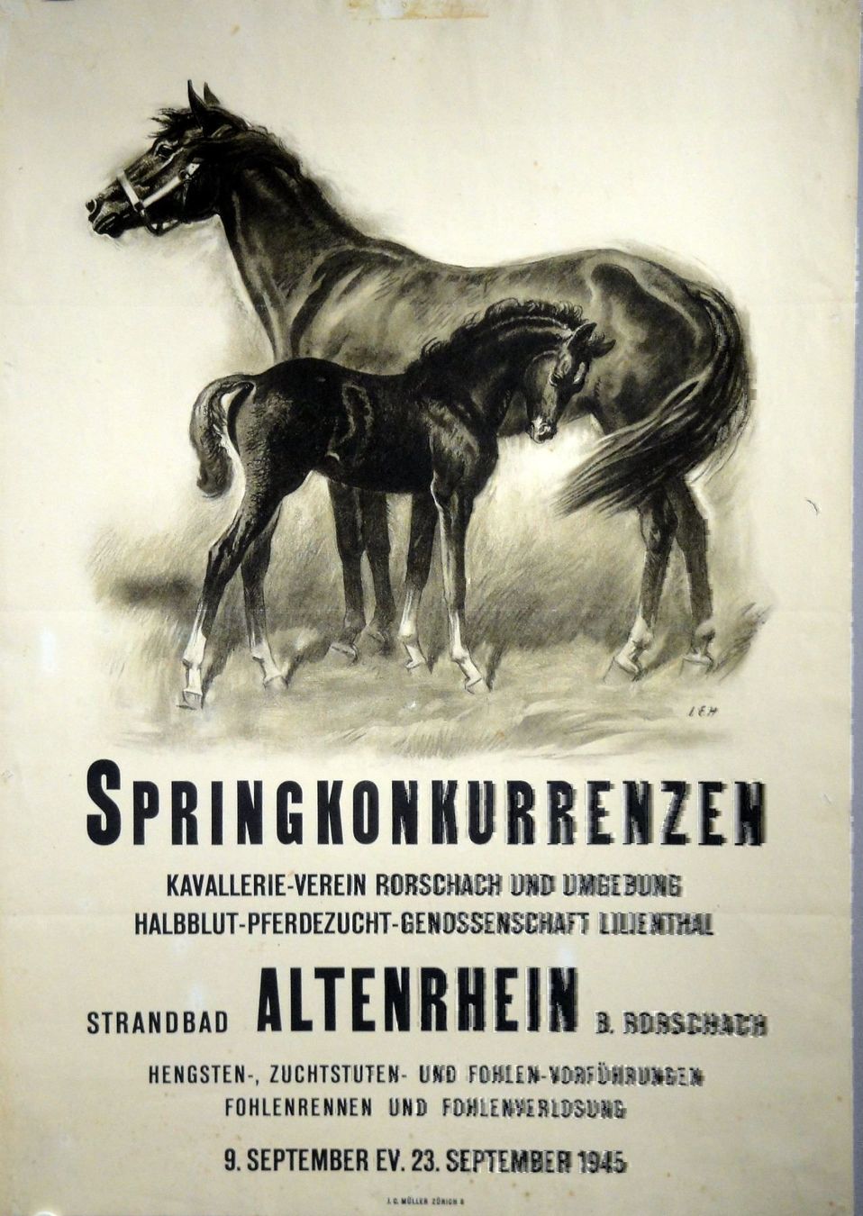 Poster & Bilder: Springkonkurrenzen in Altenrhein – Gebraucht aus Eggenwil von Joyart