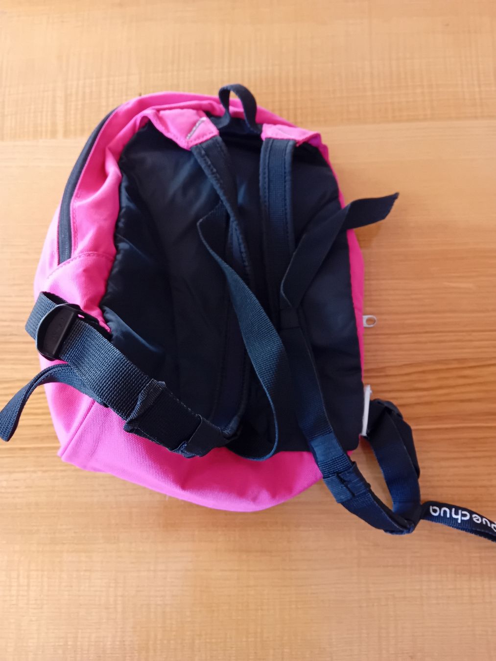 Borse & Zaini: Pinkfarbener Quechua Rucksack – Usato da St. Ursen venduto da Su_Vo-Bi 1