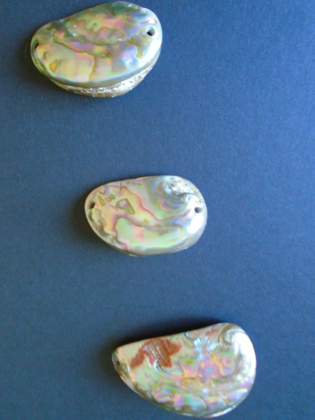 Fossili: 3 Perlmuttmuscheln, 1 Stück möglich – Usato da Kaufdorf venduto da EdelmannPaPrintGmbH