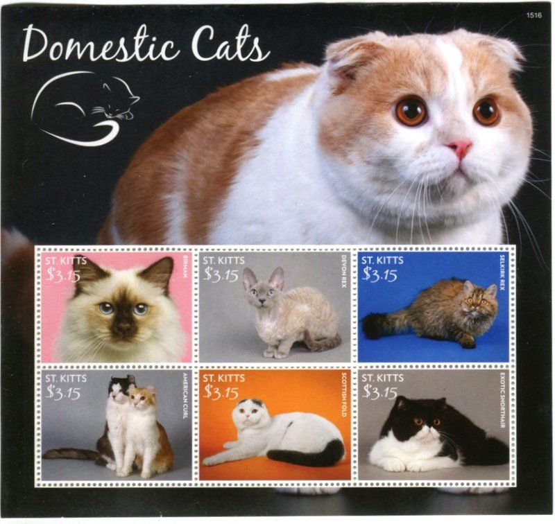 Alle Briefmarken: Block "Katzen". St. Kitts – Neu und originalverpackt aus Basel von Butsch5