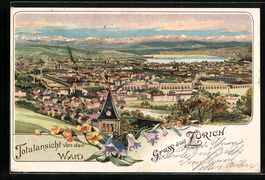 Litho Zürich, Totalansicht von der Waid
