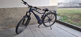 Whistle Speedbike Performance 45 