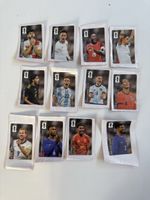 Panini Coca cola wm fussball alle 12