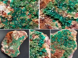 💚 Dioptas auf Calcit – Van der Plas Mine, Namibia 🇳🇦