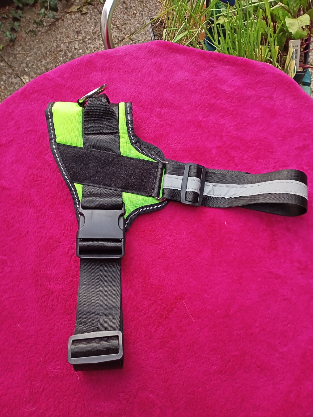 Leine & Halsband: Geschirr für ca. Border, Aussie, Labrador  – Neu (gemäss Beschreibung) aus Oftringen von Myti