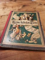Antikes Kinderbuch "Meine liebsten Tiere", Feldmann 1916