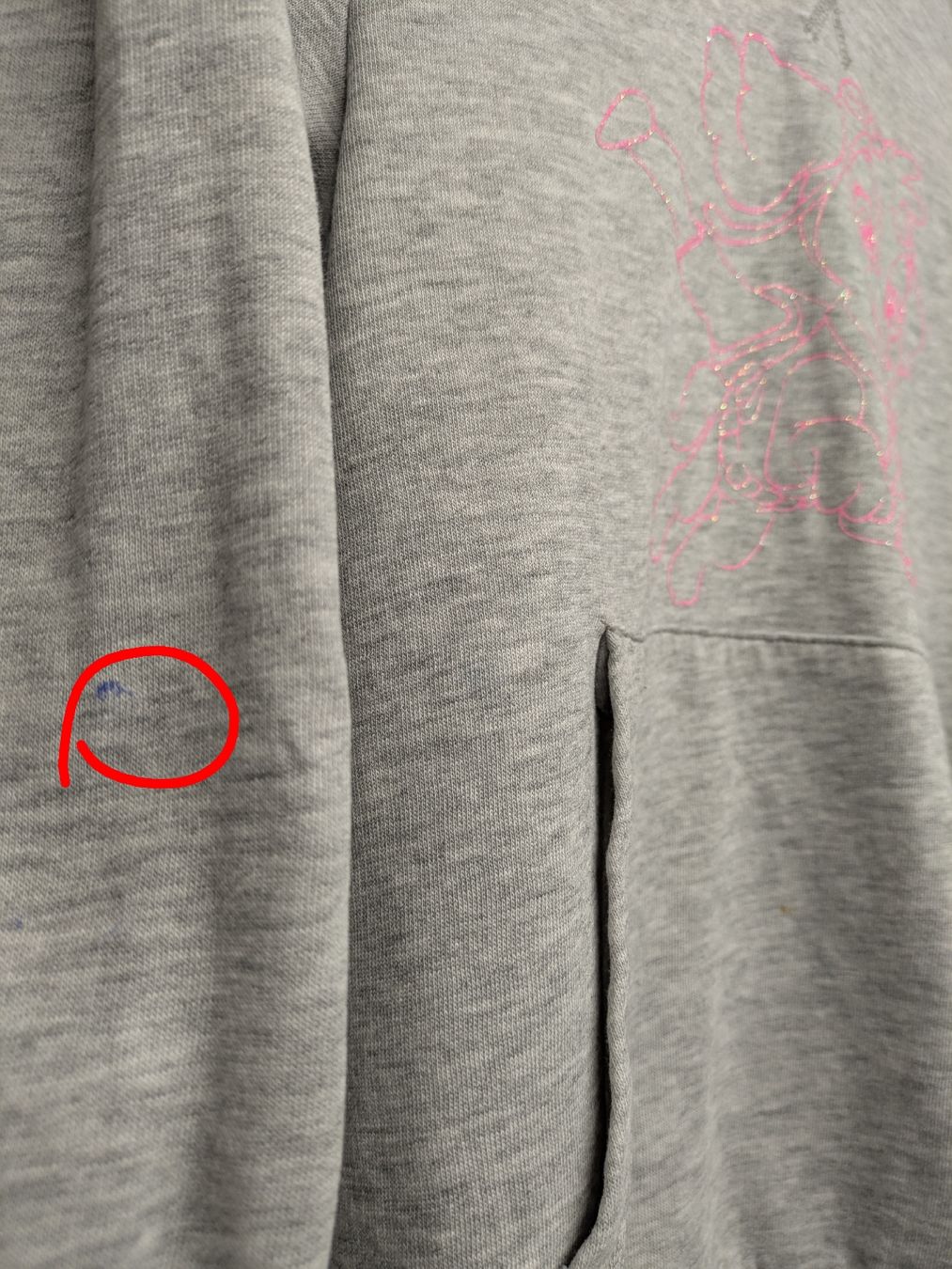 H&M Maglioni & Felpe: H&M Kapuzenpullover mit Skye von Paw Patrol, Grösse 134 – Usato da Kölliken venduto da mic_9n9d 4