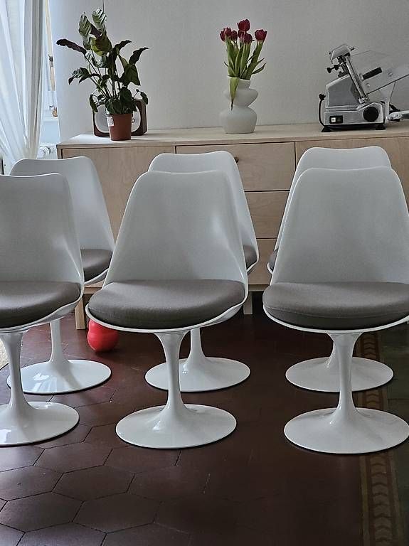Sedie: Set 6 sedie, Knoll Tulip – Usato da Muralto venduto da tes_s78j