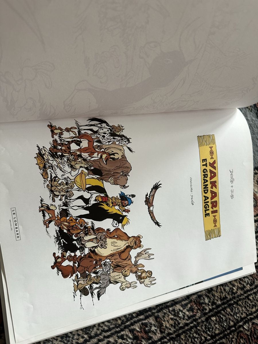 Fumetti: YAKARI ET GRAND AIGLE – Usato da Uster venduto da bek_v2ct 2