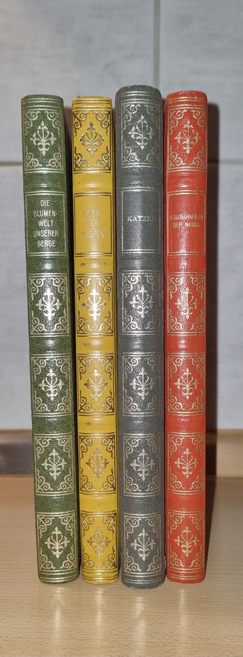 Libri: Schöne, ältere Bücher / Avanti Verlag – Usato da Nottwil venduto da Janny77