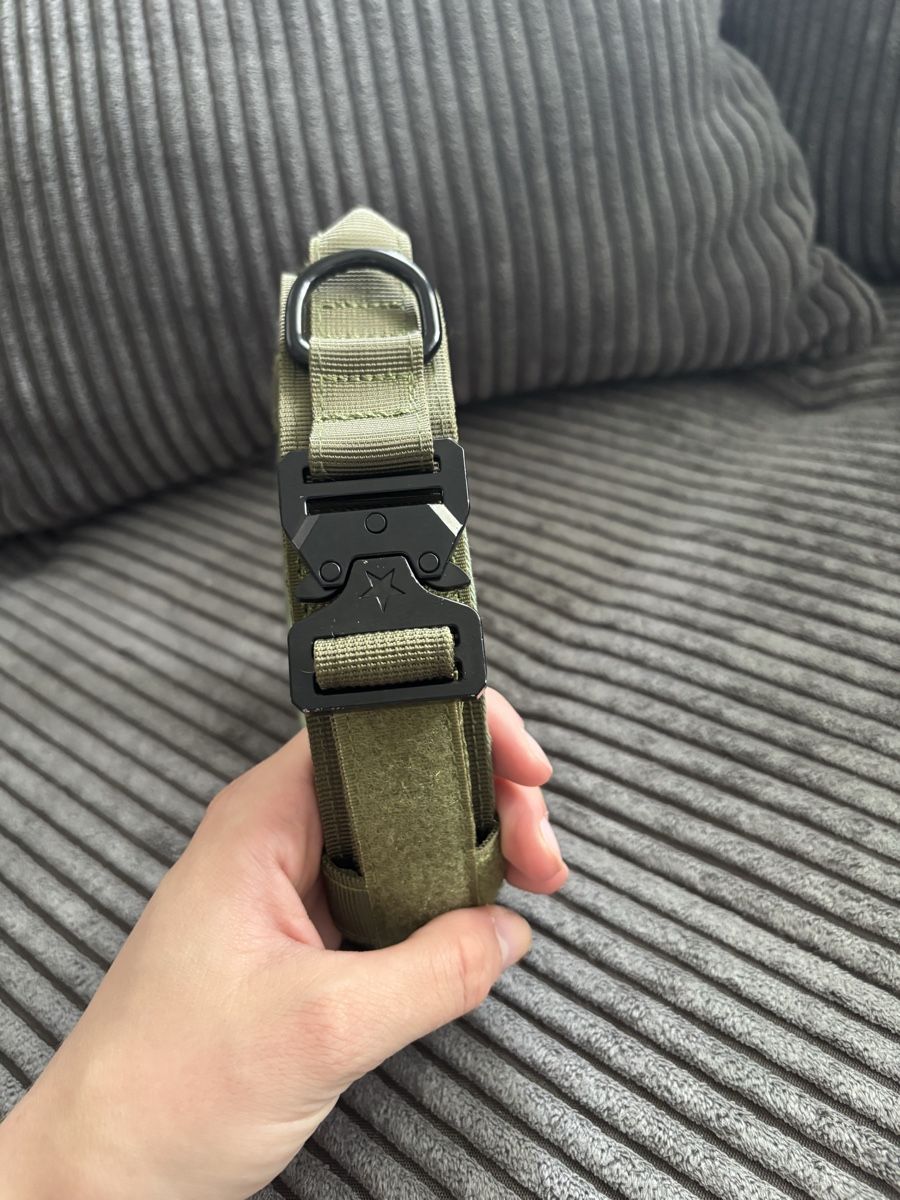 Leine & Halsband: Hundehalsband – Gebraucht aus Schwerzenbach von nadjaliz5 1