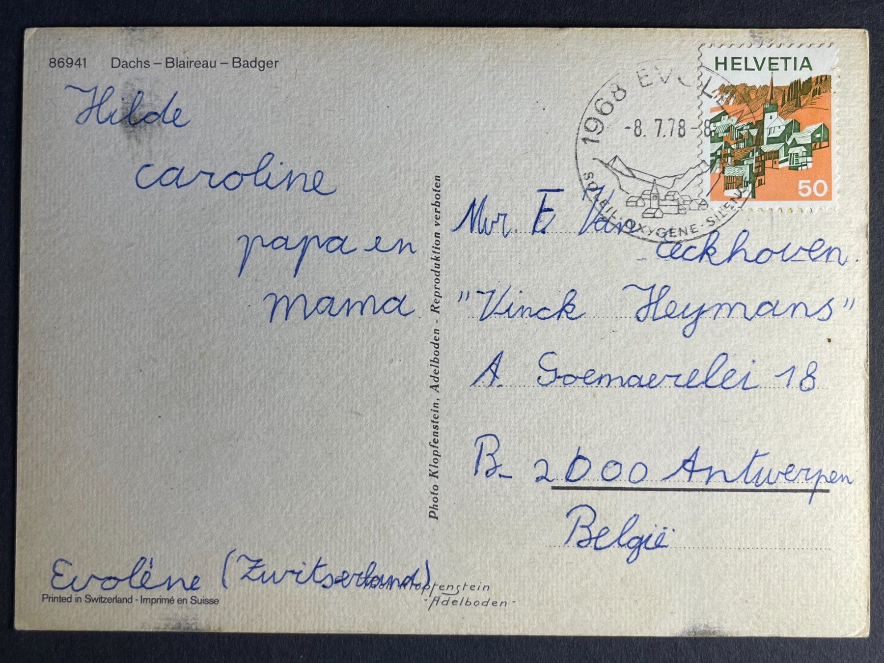 Cartoline postali: Dachs - Mit Stempel Evolène - 1978 – Usato da Steg VS venduto da _vinci_ 1
