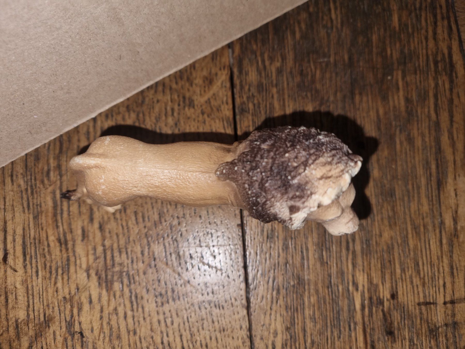 Schleich Spielzeuge: Lion schleich – Gebraucht aus Fribourg von  6