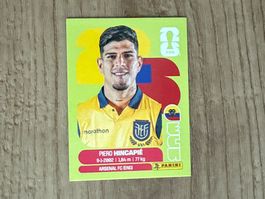 Panini FIFA WM 2026 Sticker Piero Hincapié ECU 4