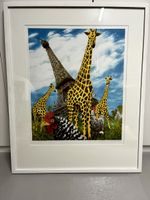 Paris in the Jungle von Fred Engelbert Knecht