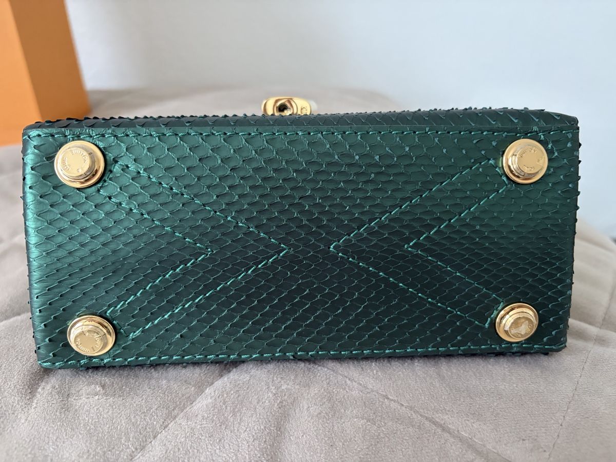 Louis Vuitton Taschen für Damen: Louis Vuitton cappucin Python  – Neu und originalverpackt aus Giebenach von Su99 2