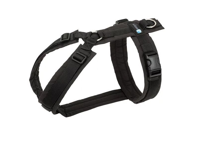 Anny X Leine & Halsband: anny-x Brustgeschirr FUN // Schwarz XS – Gebraucht aus Brittnau von Arves