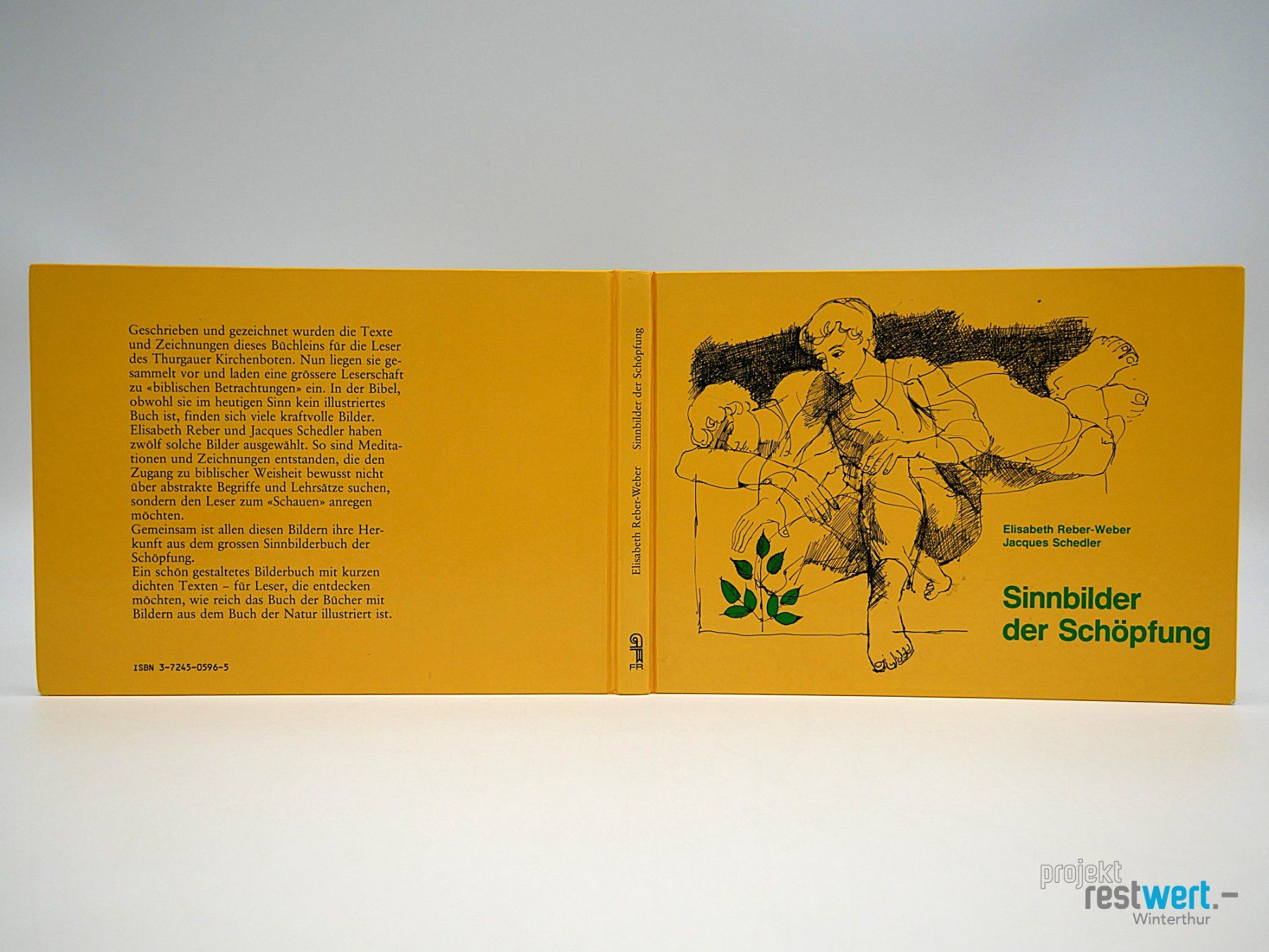 Libri: ELISABETH R. WEBER - Sinnbilder der Schöpfung – Usato da Winterthur venduto da Restwert_Winterthur 1