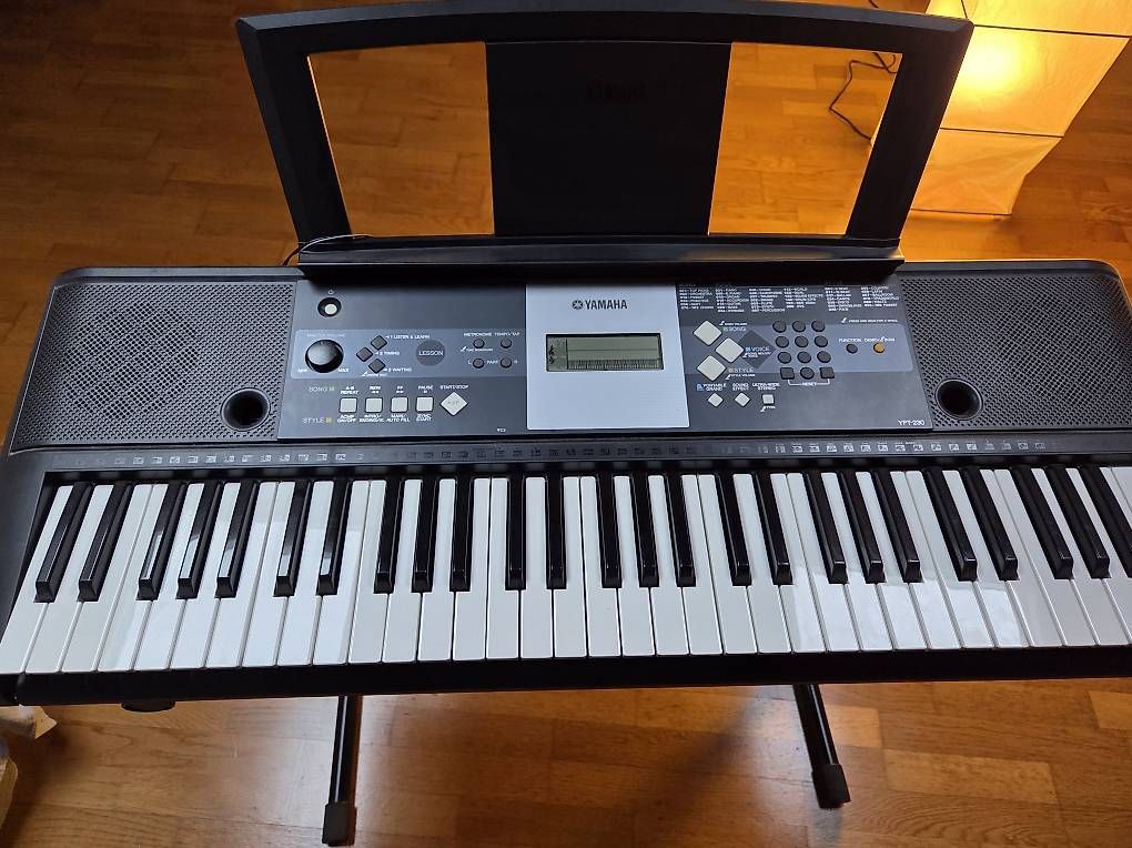 Yamaha Strumenti musicali: Yamaha YPT-230 – Usato da Savosa venduto da cb__5gfg