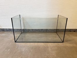 Terrarium