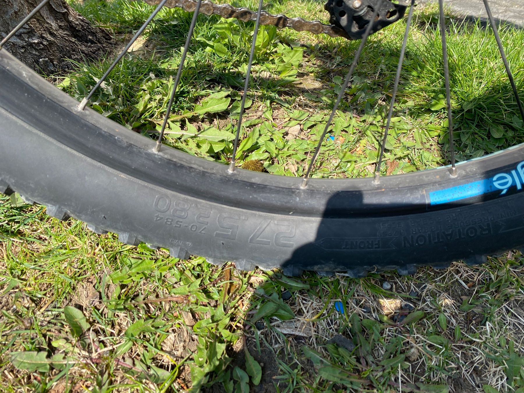 Velos: Das Fahrrad ist in gutem Zustand und wurde gewartet. Lauflei – Gebraucht aus Tann von ser_k5rm 4