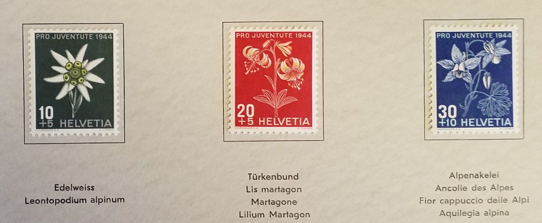 Alle Briefmarken: 1949, Geschenkheft Pro Juventute Bergblumen Kt. Lp – Neu (gemäss Beschreibung) aus Baden von Eggi 2