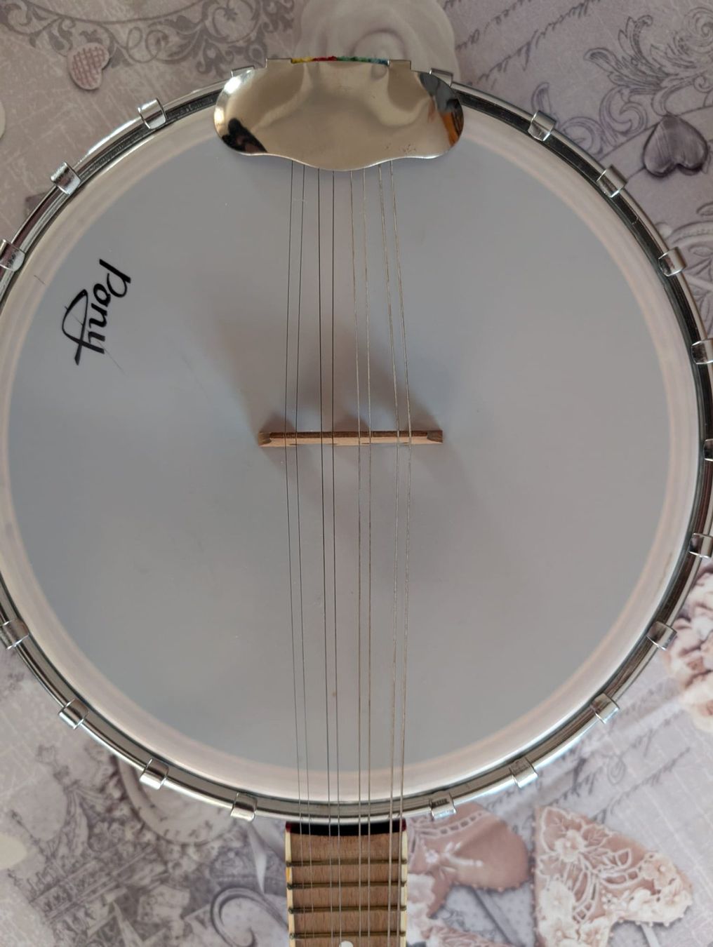 Strumenti musicali: Original Pony Banjo – Usato da Fribourg venduto da mikedust 3