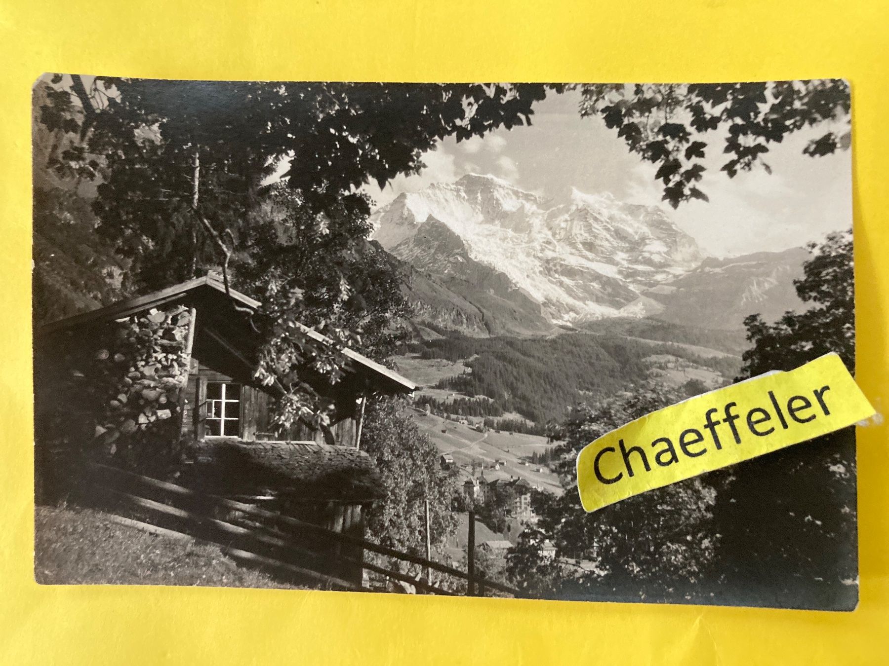 Cartes postales: Wengen. Die Jungfrau – D'occasion à Zürich par Chaeffeler