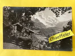 Wengen. Die Jungfrau