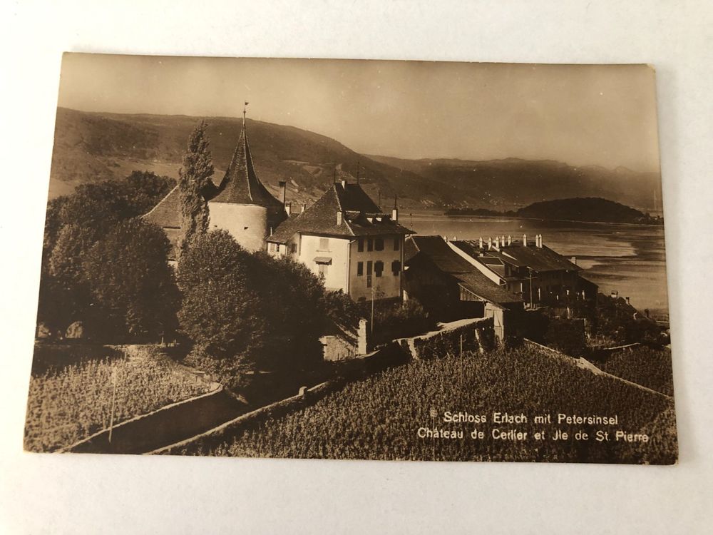 Schloss Erlach mit Petersinsel Kaufen auf Ricardo