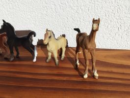 Spielzeug Fohlen