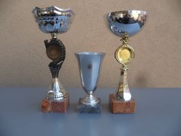 3 trophées possible de mettre des médaillons sur les grands