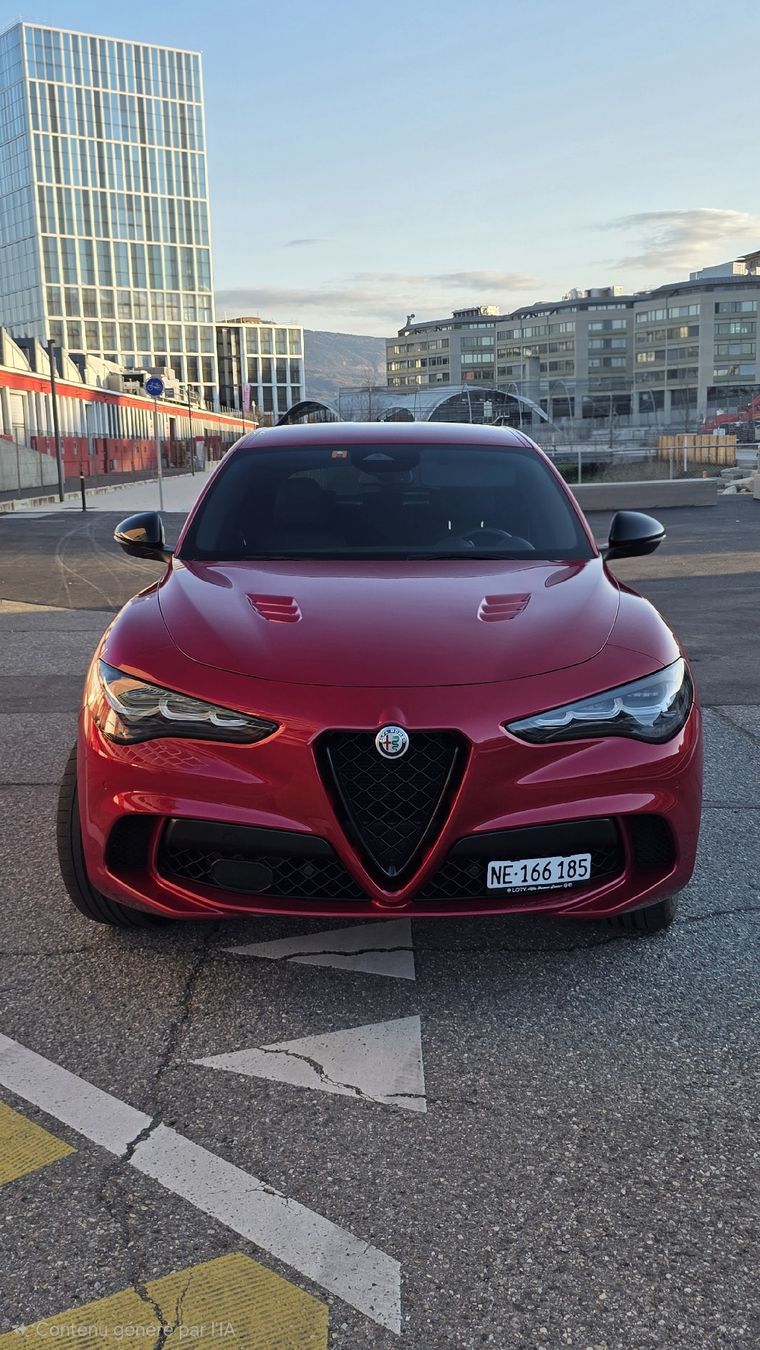 Alfa Romeo Automobili: Alfa Romeo Stelvio Quadrifoglio  – Usato da Genève venduto da 10f_6mxq 5