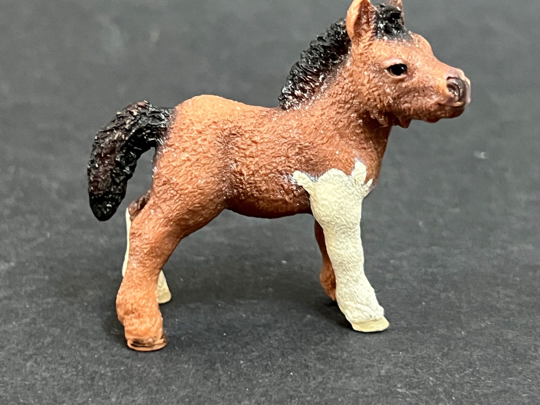 Schleich Statuette: Schleich Mini Shetty Horse Club – Usato da Ennetbaden venduto da mapa05 4