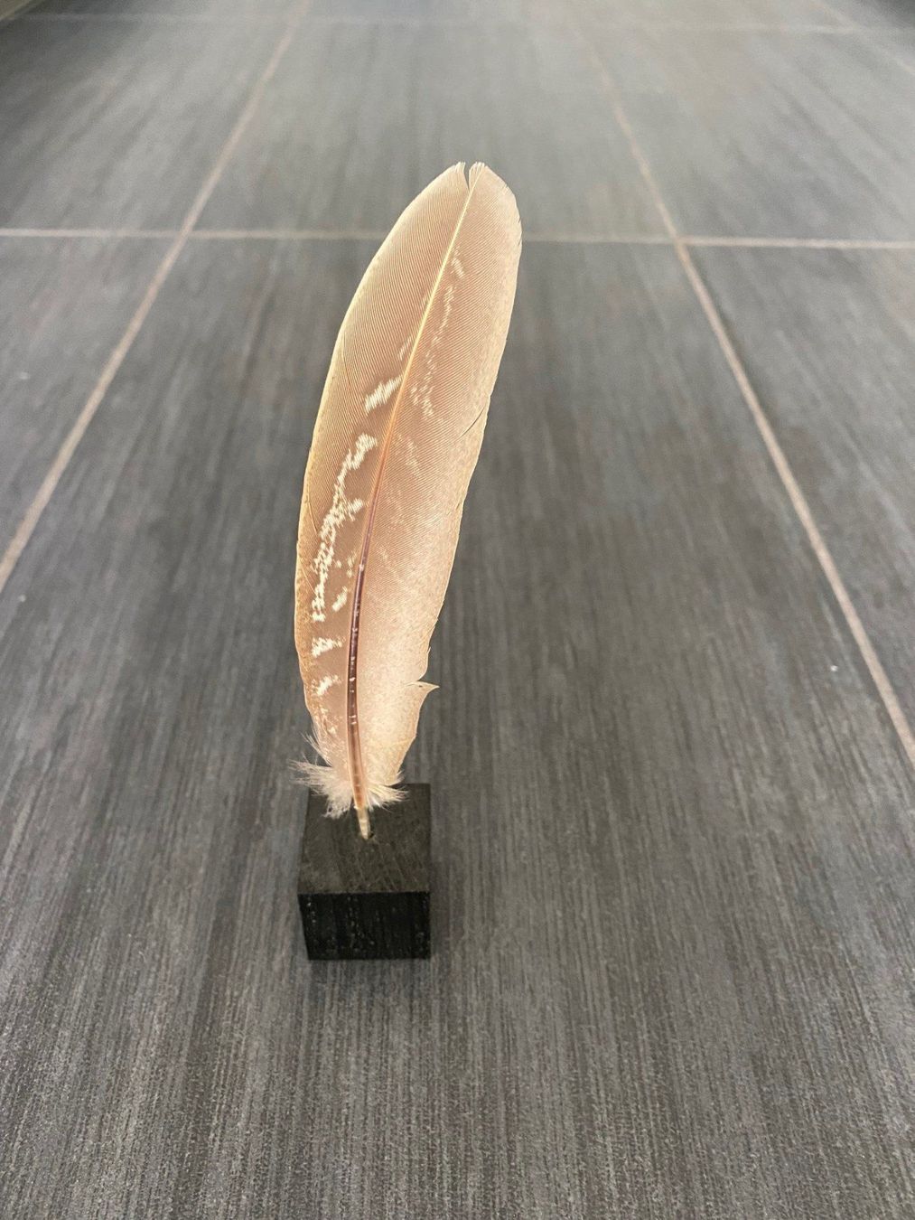 Tutte le decorazioni: Dekoobjekt "Feder" – Usato da Lachen SZ venduto da JLO-Creations