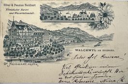 Alte AK Walchwil am Zugersee 1901