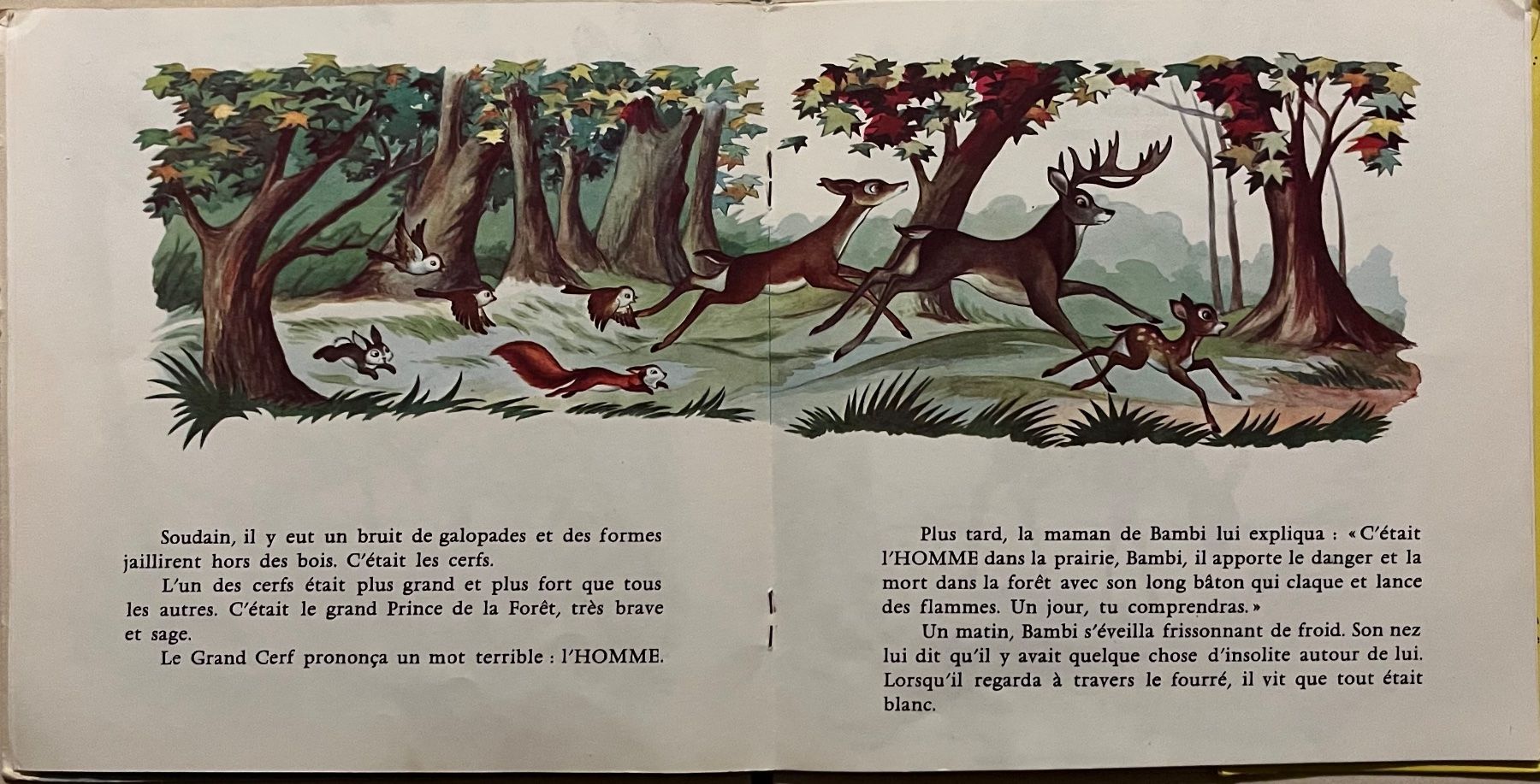 Schallplatten: WALT DISNEY - BAMBI – Gebraucht aus Bussigny von vinyl-pas-cher 4